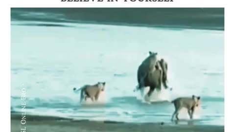 Never Give UP!