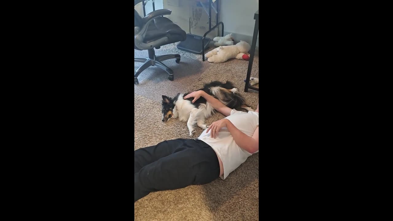 Silly Lyla Demands A Tummy Rub Break From Daddy