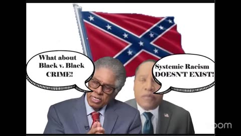 Larry Elder & Thomas Sowell DEBUNKED! Systemic Racism is REAL!