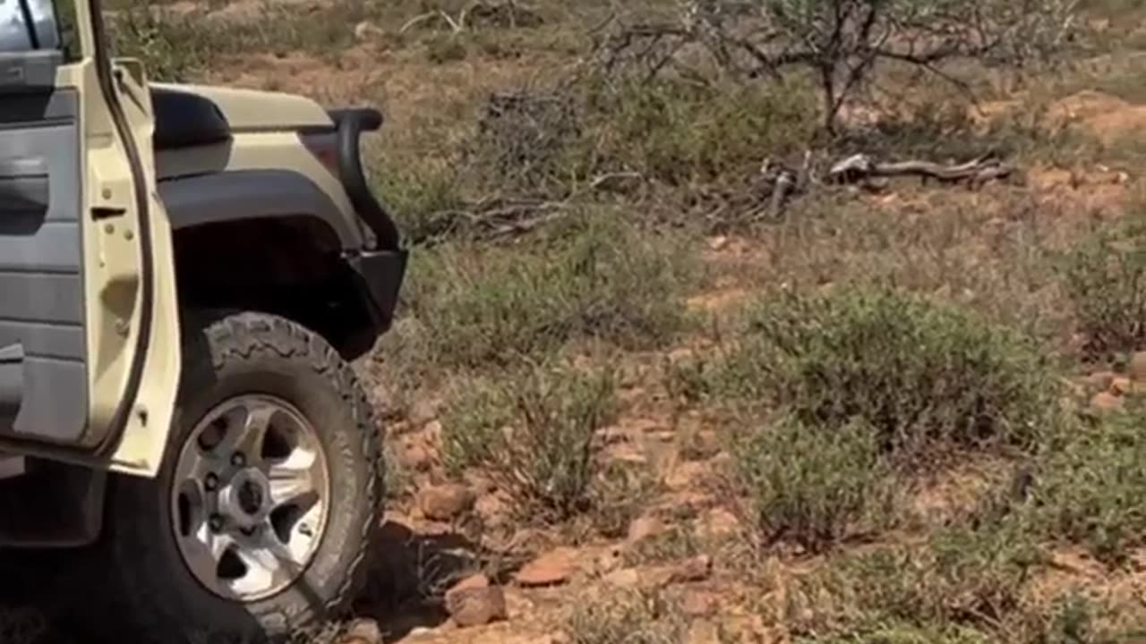 Another 30-06 shot with my wife at 100 yards, Lechwe cow heart shot