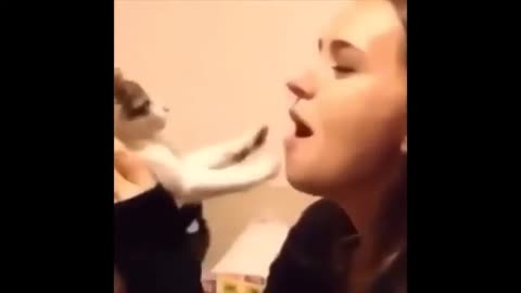 Try not to laugh