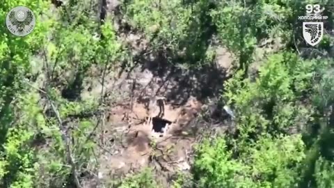 🦅🚜 Ukraine Russia War | Black Raven UAV Company Reports from Toretsk | RCF