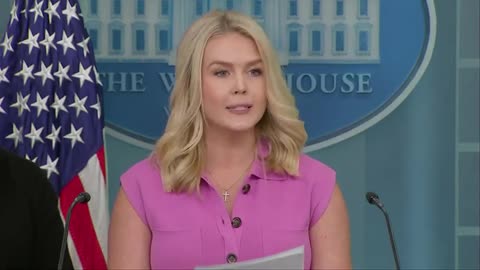 Karoline Leavitt SILENCES media with evidence on deported "Maryland man"