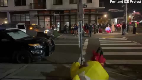 Poll Dancing Chicken