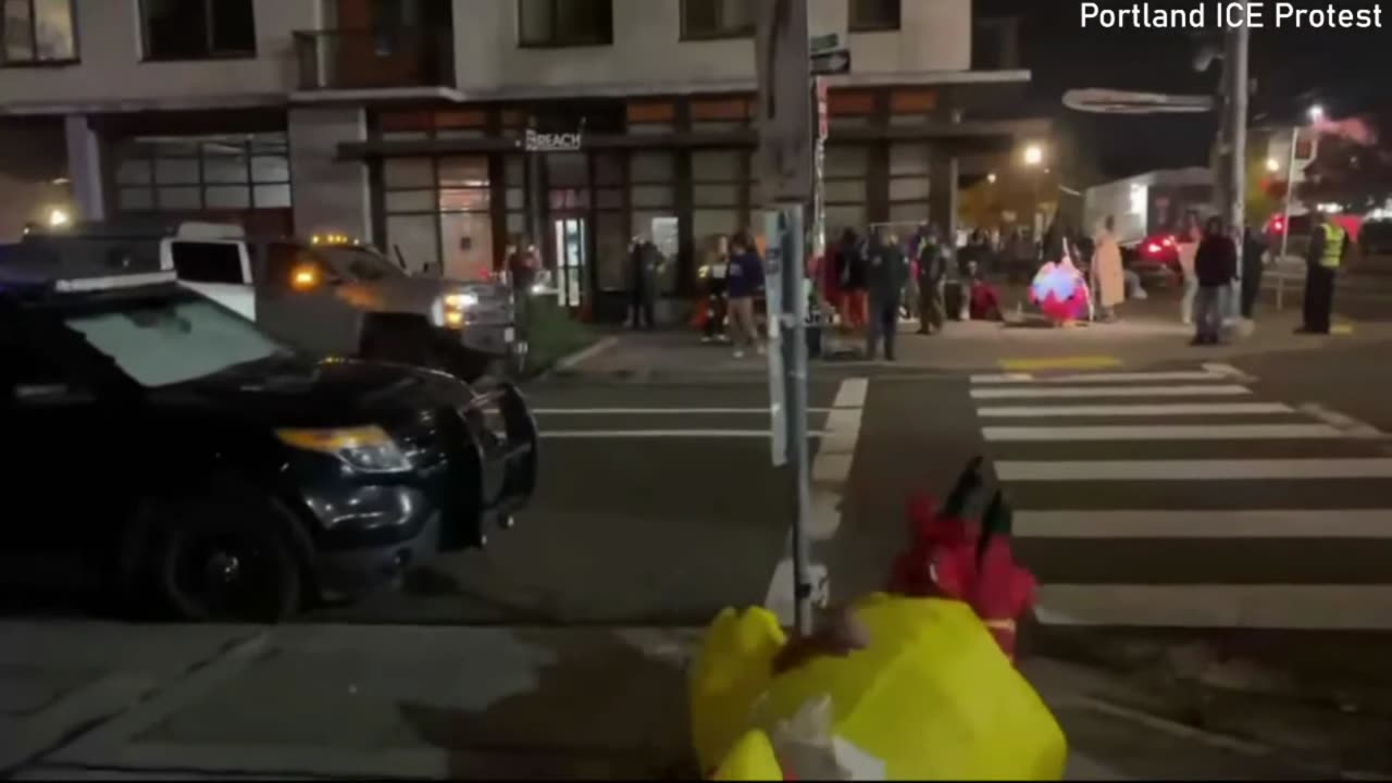 Poll Dancing Chicken