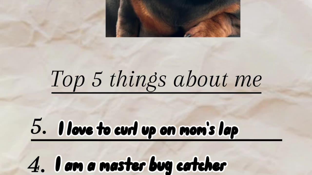 Things 2 Know About Me!