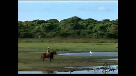 Pantanal 1990 Capítulo 88 Rede Manchete