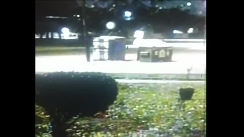 Orb exhibits intelligent response (The full video)