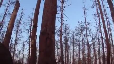 🌲💥 Ukraine Russia War | Int'l Legion Combat in Serebryansky Forest | RCF