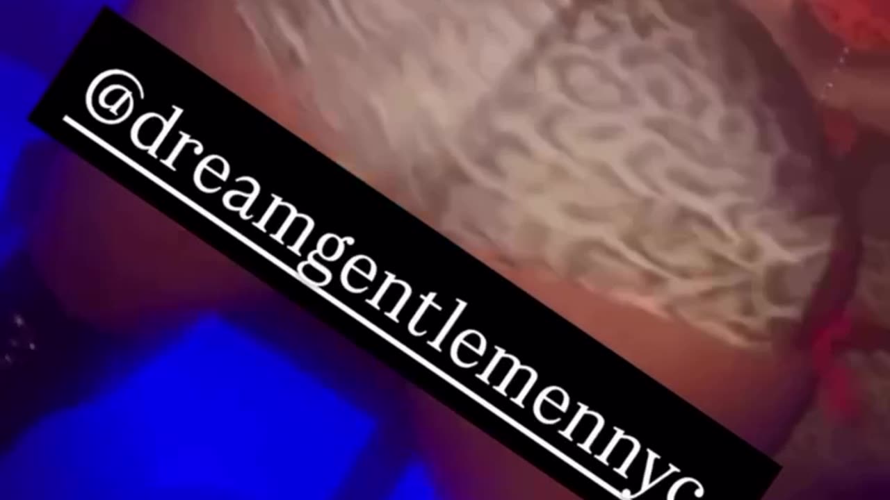 Startenders Compilation