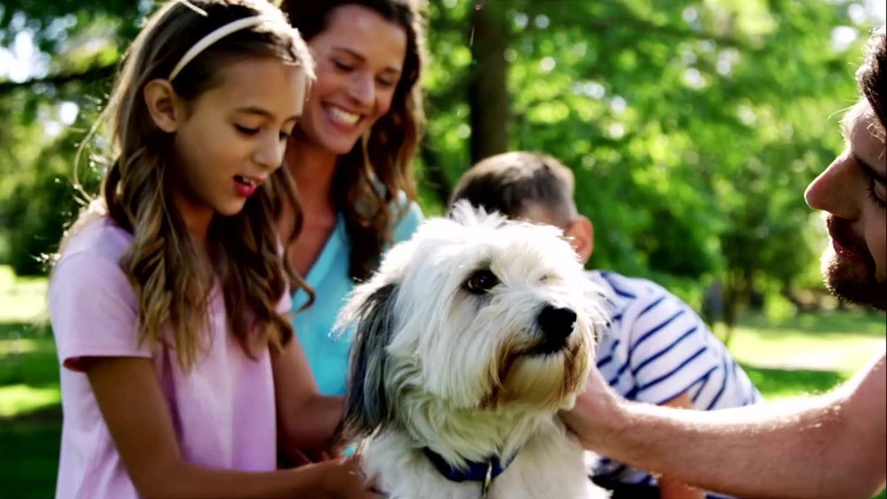 How Pets Help Heal Childhood Wounds Without Words!