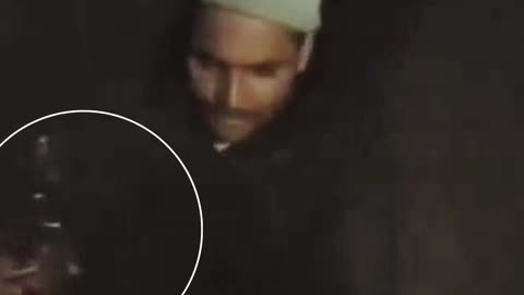 Man Arrested in UP’s Baghpat for Forcibly Feeding Liquor to Stray Dog; Video Goes Viral