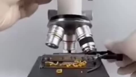 microscope test maggie_noodles🔬🤢#microscope #test #maggie #noodles #viralvideo