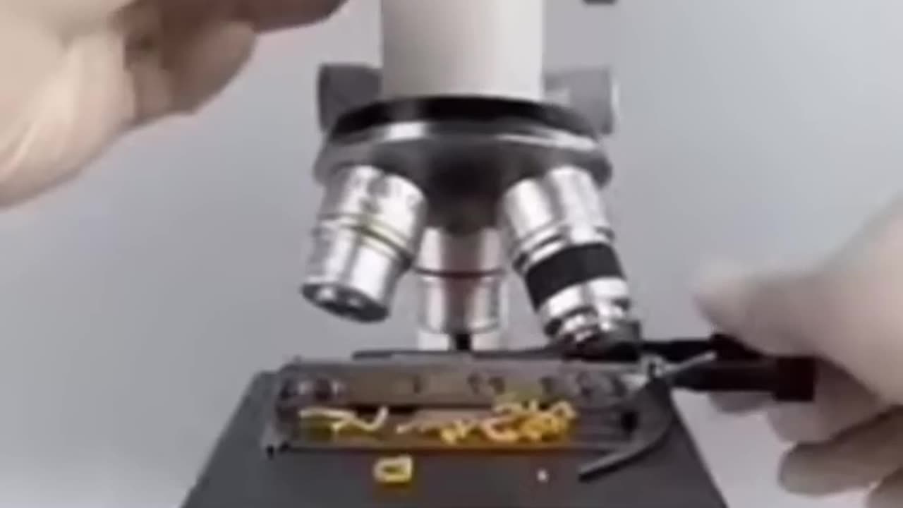 microscope test maggie_noodles🔬🤢#microscope #test #maggie #noodles #viralvideo