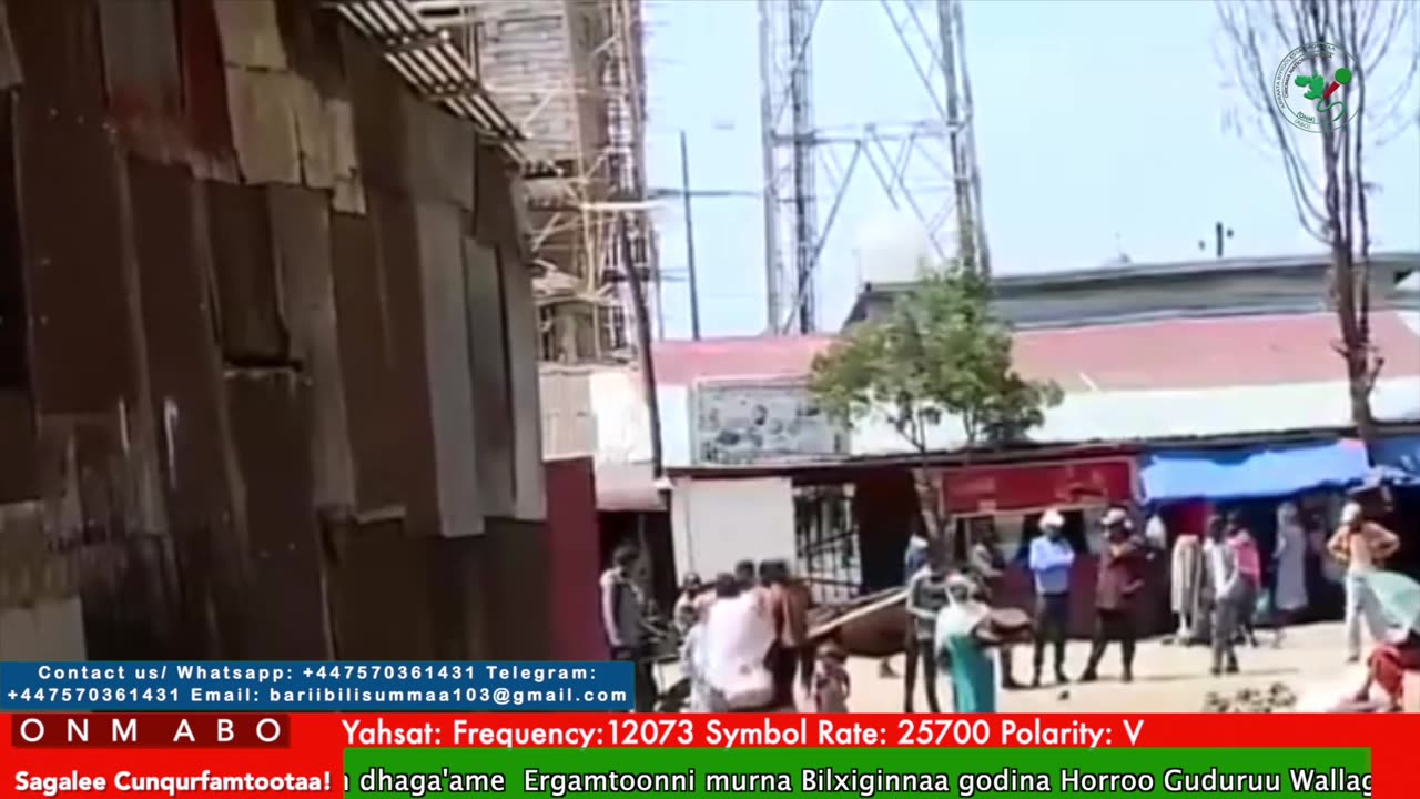 Oduu Waaree ONM-ABO Adoolessa 23-2025 itti dhiyaadhaa!