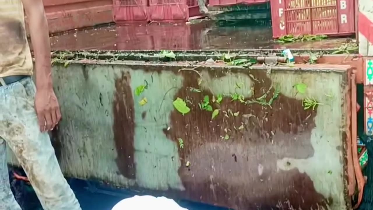 banana Farming