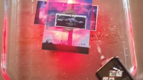Tim Rifat TikTok Videos