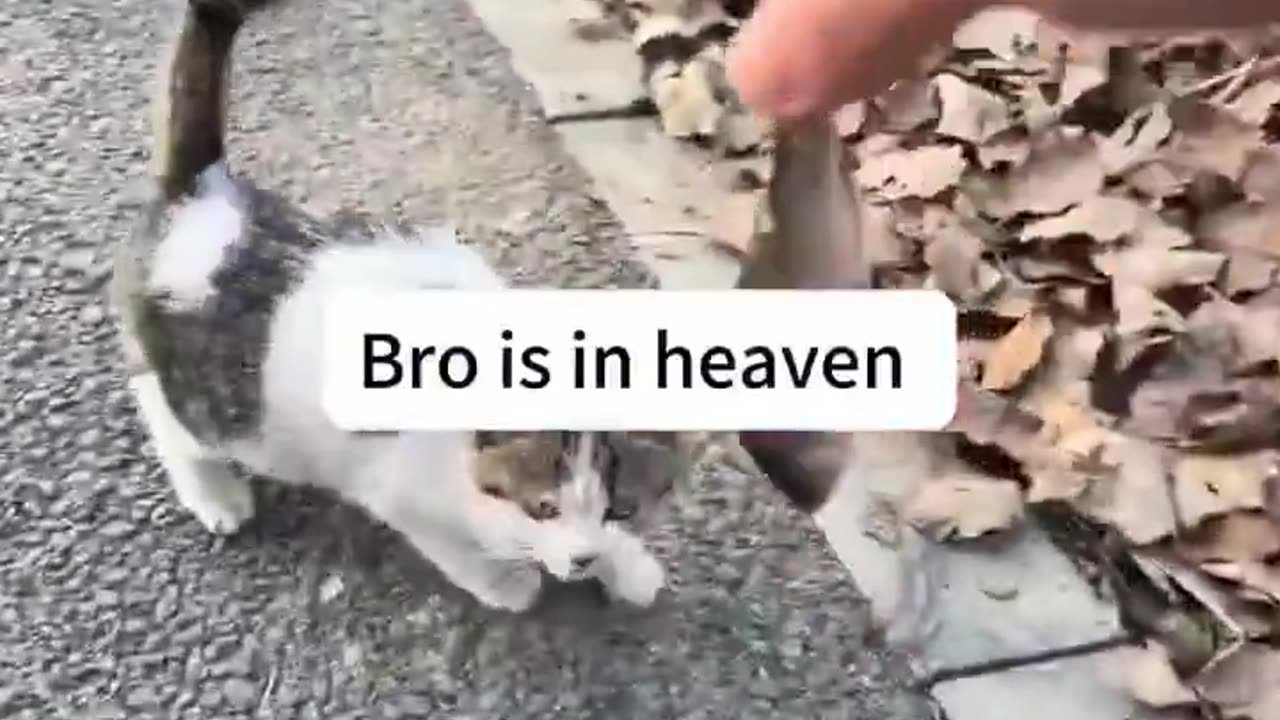 Bro is in heaven
