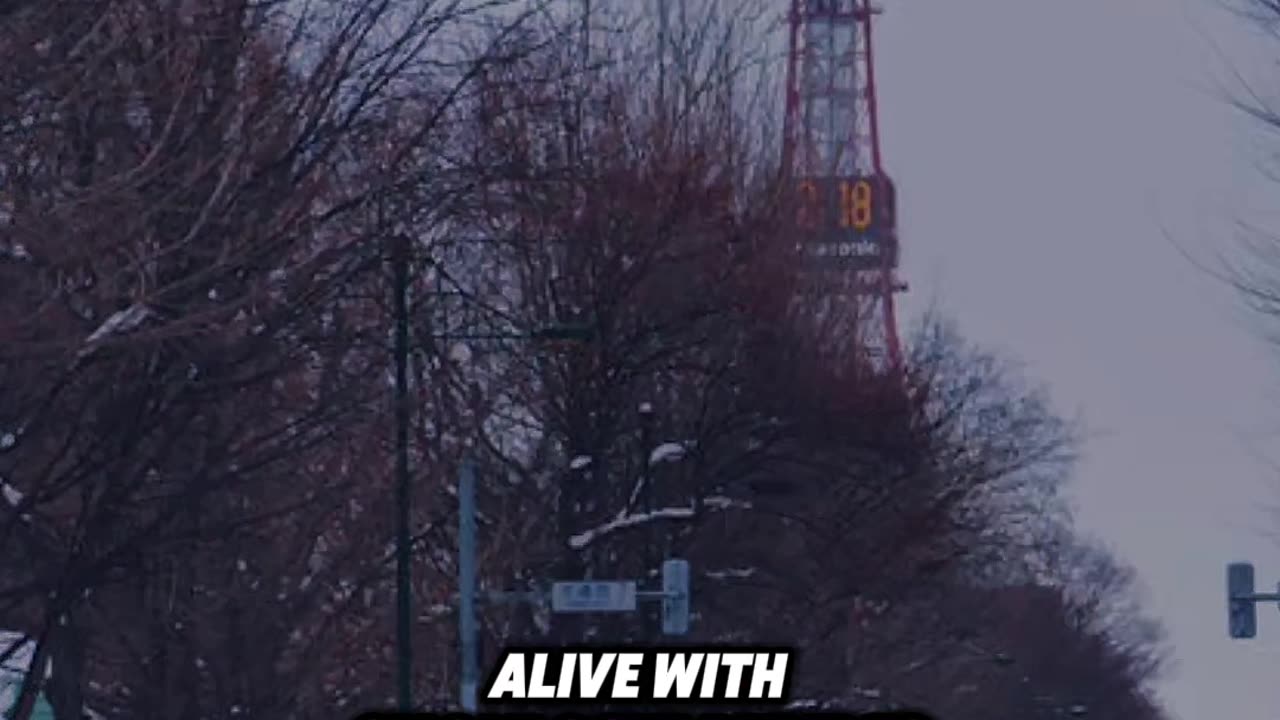 The Sapporo TV Tower