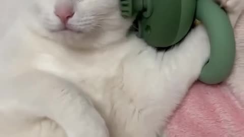 Comfortable