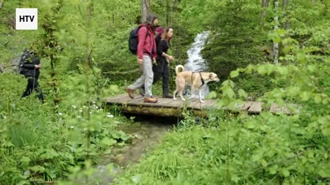 Nature’s Secret Gems Revealed