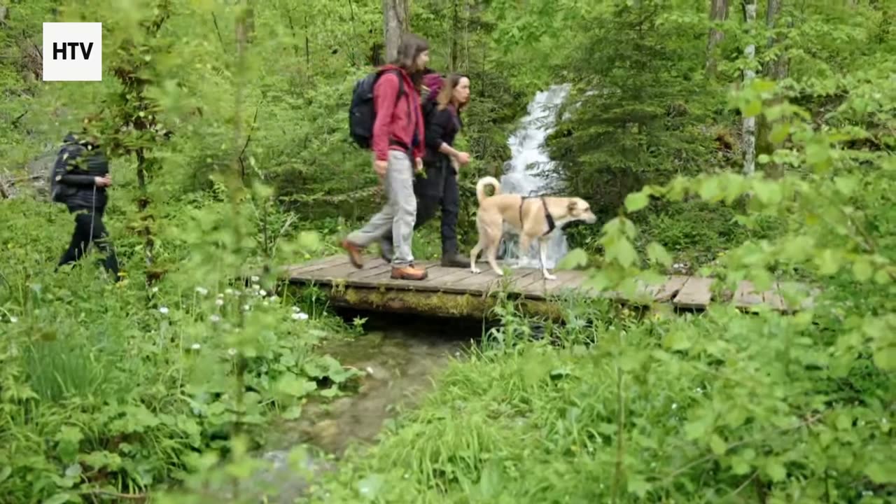 Nature’s Secret Gems Revealed