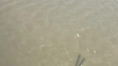 Over A little sea