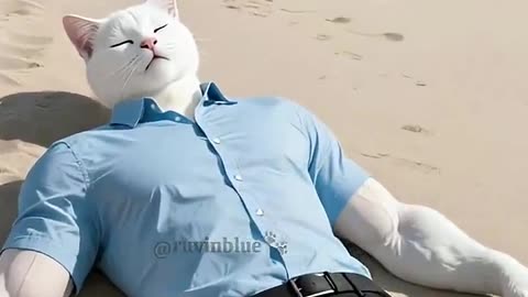 Cats Being Cats: You Won't Believe What Happened Next!