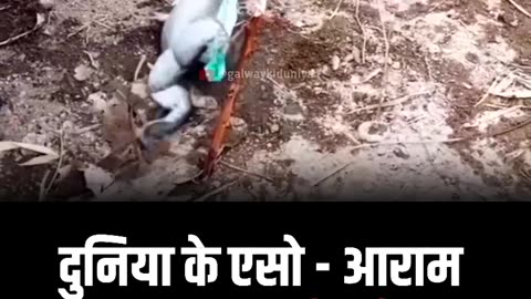 Trending funny 🤣🤣