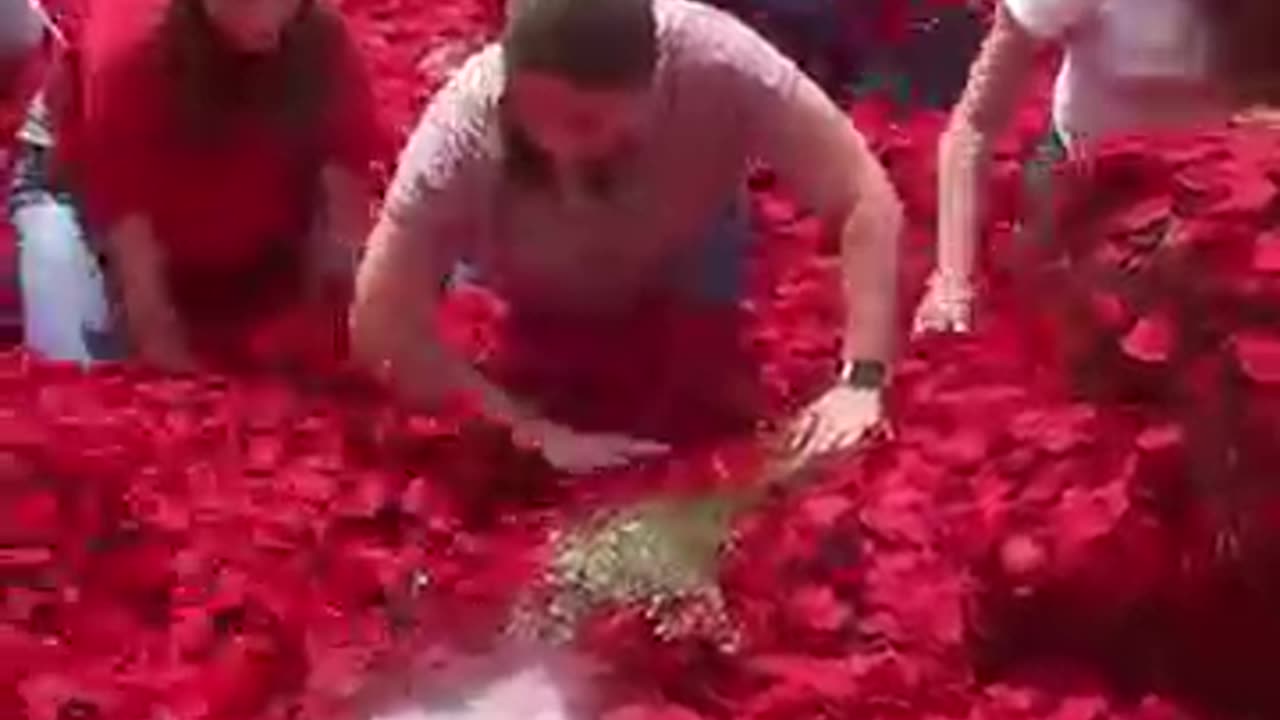 @Mr.Beast Find_This_Key