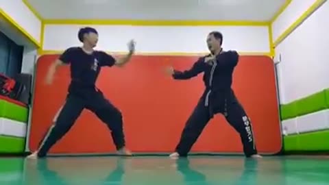 Hapkido