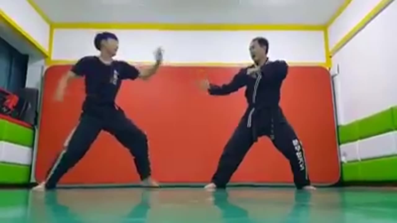 Hapkido