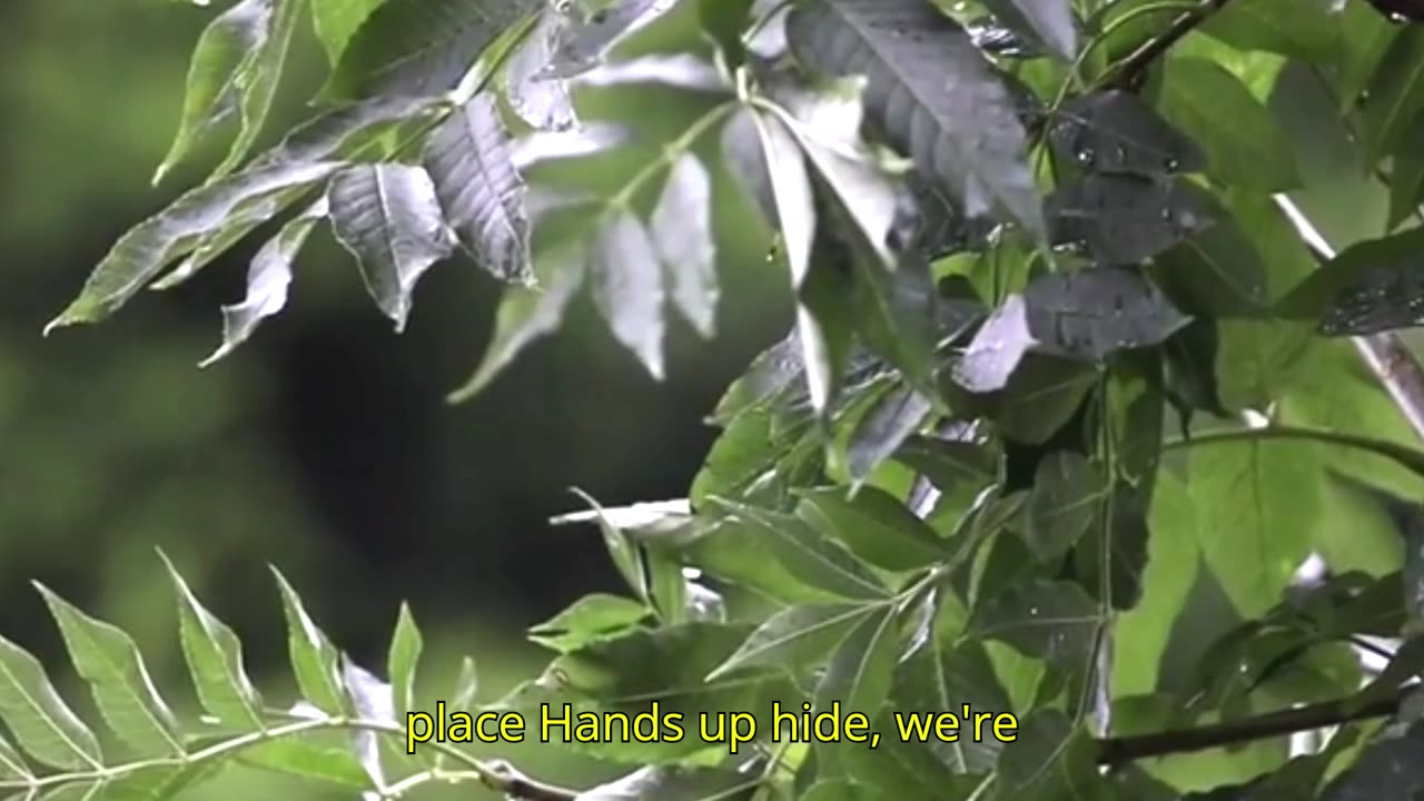 David Guetta & Sia - Beautiful People ft. Shine Tonight