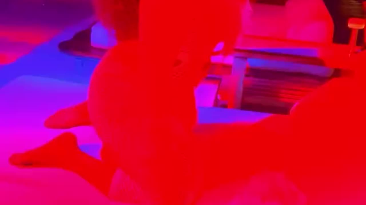 @VeeSidika
