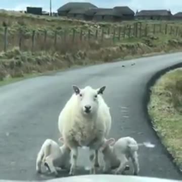 Kids decide to feed at the worst times and locations