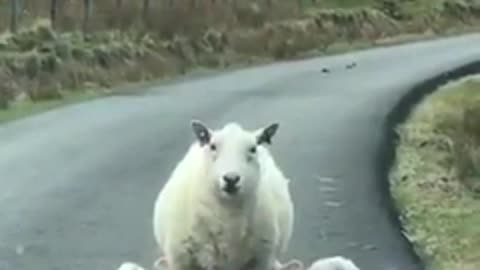 Kids decide to feed at the worst times and locations