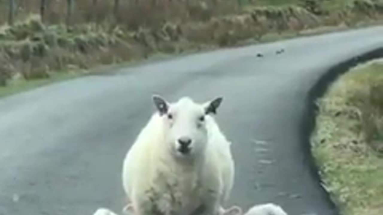 Kids decide to feed at the worst times and locations