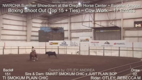 Black Cow Down