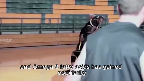 "The Best NBA Bench Players in History"