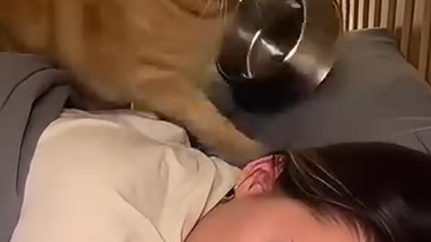Funny 😂 video of cat
