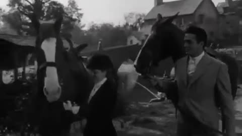 Moss Rose (1947) Full movie | Film noir mystery