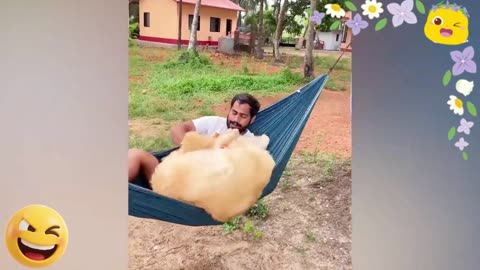 Hilarious Animal Moments That Will Make Your Day