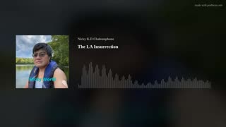 The LA Insurrection