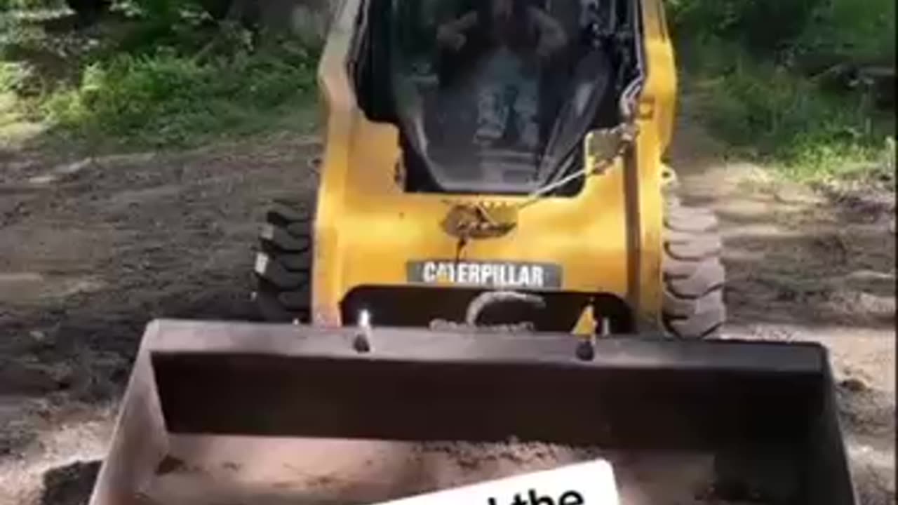 Homeschooling, outdoor skills