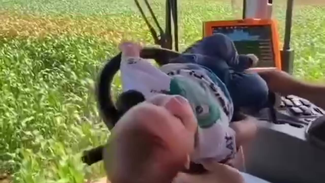 It's more fun at work with Dad 😎