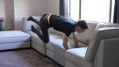 If Animals Glitched IRL