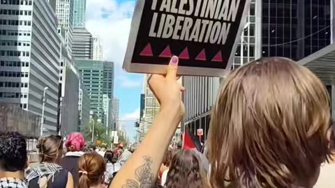 A year ago. "No Queer Liberation without Palestinian Liberation"