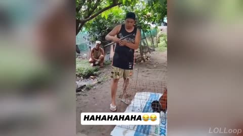 Funny Videos of the Year | Try Not to Laugh 2025 Edition 😜