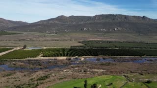 US tariffs on South Africa set to hit white farmers Trump has embraced