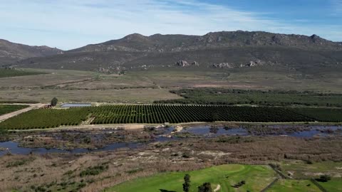 US tariffs on South Africa set to hit white farmers Trump has embraced